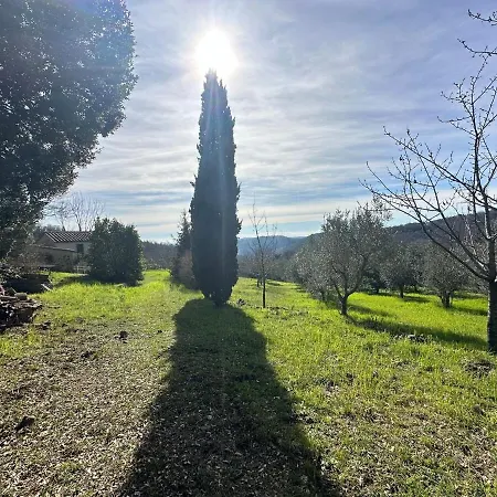 Podere Boschetto Moroni 아파트 마사마리티마