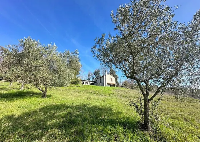 Podere Boschetto Moroni