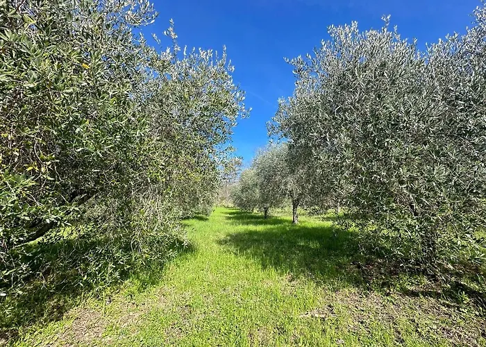 Podere Boschetto Moroni *