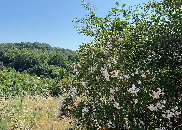 Podere Boschetto Moroni * Massa Marittima