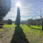 Podere Boschetto Moroni Lejlighed Massa Marittima