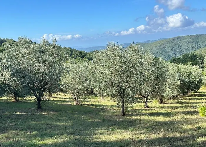 Apartman Podere Boschetto Moroni *